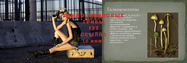 бошки Пересвет