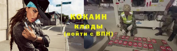бошки Пересвет