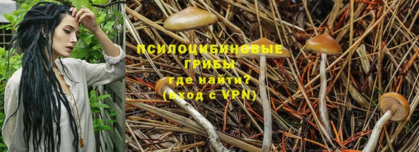 бошки Пересвет